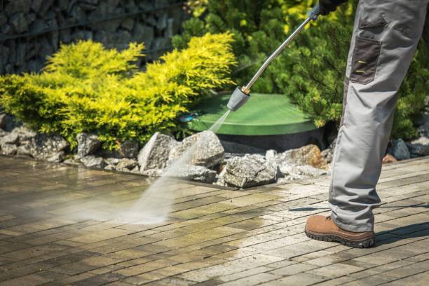 Best Warehouse Cleaning  in Foley, MN