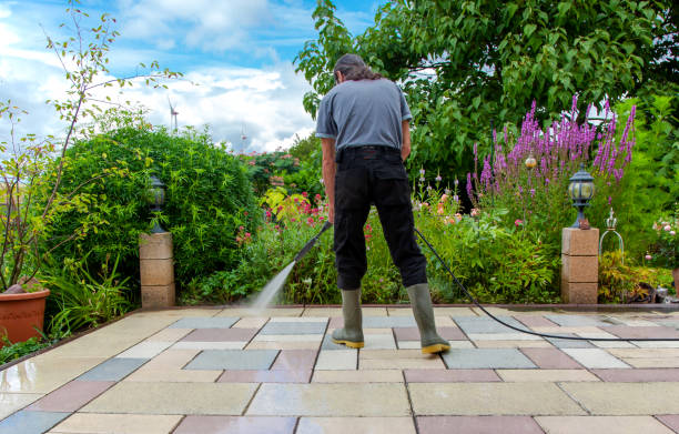 Best Restaurant Pressure Washing  in Foley, MN